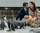 Mary et Frederik de Danemark à Stralsund en Allemagne le 27 septembre 2010 : ils visitent un musée de l'océanographie
