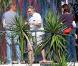 Robert de Niro sur le tournage de Leçons d'amour à l'italienne 3 , à Rome, en Italie, le 30 septembre 2010.