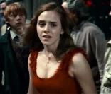 Daniel Radcliffe, Emma Watson et Rupert Grint dans  Harry Potter et les Reliques de la mort (partie 1) , sortie en salles le 23 novembre 2010.