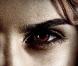Emma Watson dans Harry Potter et les Reliques de la Mort (Partie 1) , sortie en salles le 23 Novembre 2010.