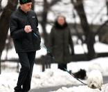 Michael Douglas promène son chien le 19 janvier 2011 à New York