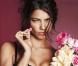 La ravissante Adriana Lima pose pour la collection Saint-Valentin 2011 de la marque de lingerie Victoria's Secret.