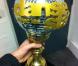 Le trophée de DALS