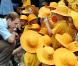 Le prince William en visite en Australie, fin mars 2011. Le petit-fils de la reine Elizabeth II a apporté son soutien aux sinistrés des inondations du Queensland et du passage du cyclone Yasi.