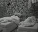 Ca dort...