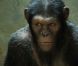 Image du film La Planète des singes : les origines
