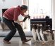 Jim Carrey : Nouvelle bande-annonce pour ses adorables pingouins !