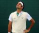 Roger Federer va tenter de reconquérir son titre à Wimbledon 2011.