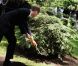 Le prince William et Catherine, duchesse de Cambridge, ont respecté la tradition en plantant un arbre, symbole d'amour, à Ottawa, au Canada, le 2 juillet 2011