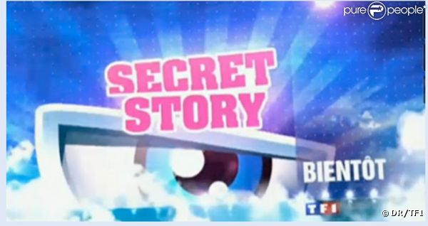 Le logo de Secret Story