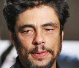 Benicio del Toro aperçu chez les gays