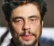 Benicio del Toro aperçu chez les gays