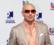 Pitbull en juillet 2011