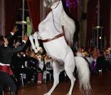 Mario Luraschi lors du 14e Grand Bal de Deauville organisé au profit de CARE France, le 27 août 2011