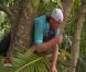 Martin perché dans un arbre dans Koh Lanta Raja Ampat