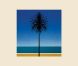 Metronomy s'éloigne du rivage et rencontre les daims dans le clip de  Everything goes my way , réalisé par Alexander Orlando Smith, extrait de  The English Riviera .