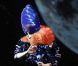 Björk traumatisée par le star system : L'Islandaise se livre comme rarement