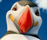 Happy Feet 2 fait partie de ces films d\'animation à vocation écologique.<br />