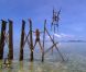 Une épreuve d'immunité en équilibre dans Koh Lanta Raja Ampat le vendredi 28 octobre 2011 sur TF1
