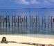 Une épreuve d'immunité en équilibre dans Koh Lanta Raja Ampat le vendredi 28 octobre 2011 sur TF1