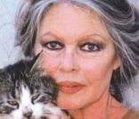 L\'interview de Brigitte Bardot dans Ici Paris du 9 novembre 2011