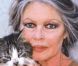 Brigitte Bardot : 'Sarkozy me donne envie de pleurer !'