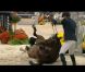 Eric Lamaze : Le champion olympique, en deuil, pense à tout arrêter