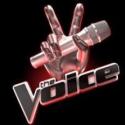 The Voice : Les deux premiers jurés du télé-crochet de TF1 révélés