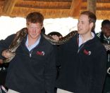 Le prince William et le prince Harry le 15 juin 2010