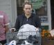 Hilary Duff, enceinte, fait ses courses toute seule à Beverly Hills le 11 décembre 2011