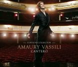  My Heart Will Go On , version Amaury Vassili