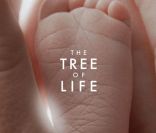 L'affiche de The Tree of Life 