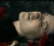 The Cranberries refleurit : Dolores s'épanouit au milieu des roses de 'Tomorrow'