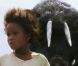 La bande-annonce des  Bêtes du sud sauvage  ( Beasts of the Southern Wilde ) de Benh Zeitlin.