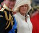 Elizabeth II avait réuni autour d'elle sur la barge royale Spirit of Chartwell le duc d'Edimbourg, le prince Charles et Camilla Parker Bowles, le prince William et Catherine, duchesse de Cambridge (Kate Middleton), et le prince Harry, pour la parade fluviale sur la Tamise du jubilé de diamant, le 3 juin 2012.