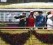Elizabeth II avait réuni autour d'elle sur la barge royale Spirit of Chartwell le duc d'Edimbourg, le prince Charles et Camilla Parker Bowles, le prince William et Catherine, duchesse de Cambridge (Kate Middleton), et le prince Harry, pour la parade fluviale sur la Tamise du jubilé de diamant, le 3 juin 2012.