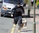 Channing Tatum en plein jogging avec son chien à Londres le 30 avril 2013
