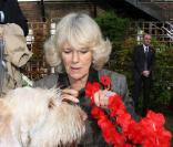 Camilla Parker Bowles participe à une marche de canidés !