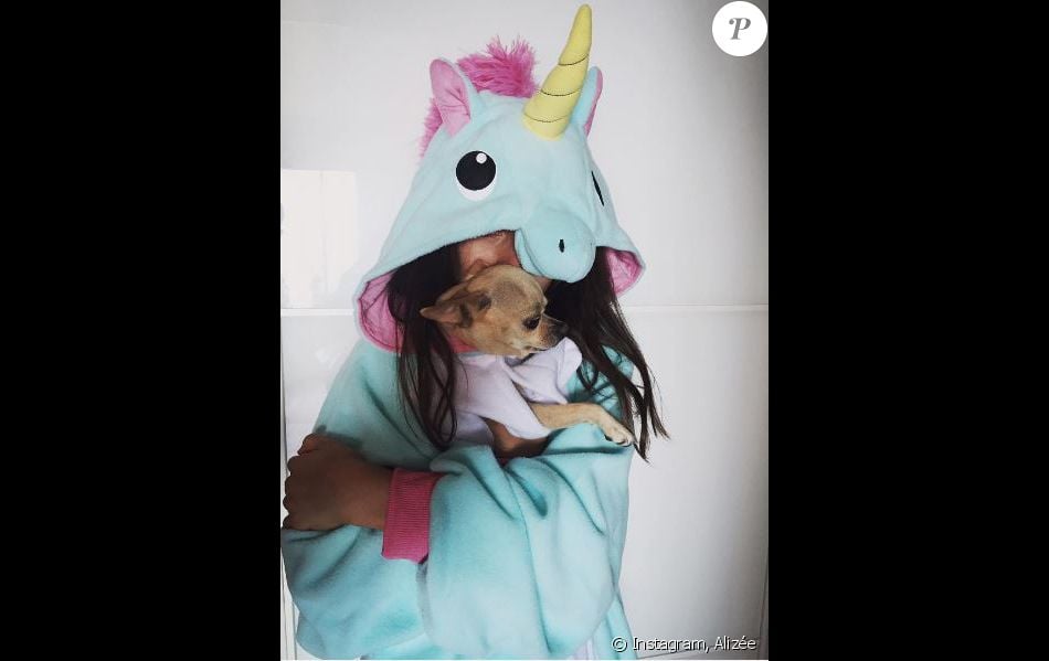 Annily, la fille d'Alizée, en licorne, sur Instagram, mardi 19 juillet 2016