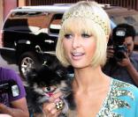 Paris Hilton et ses chiens !