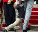 Le Prince Christian à son père Frédérik de Danemark : "J'veux pas y alleeeeer"