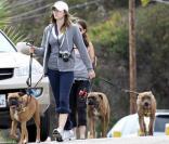 La belle Jessica Biel, lors d'une promenade avec ses chiens, à Malibu, en juin 2009 !