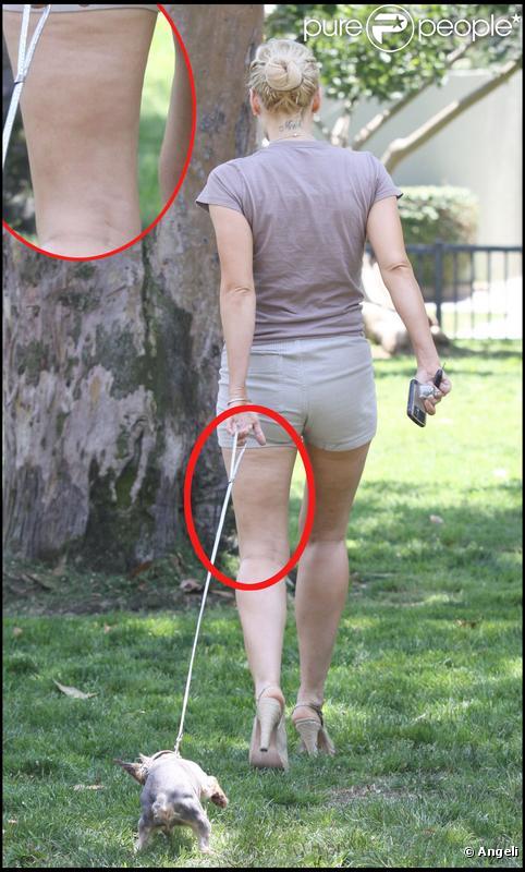 Sophie Monk promenant son chien à Los Angeles le 25 juin 2009
