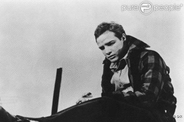 Marlon Brando dans Sur les quais d'Elia Kazan (1954)