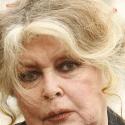 Chienne de vie ! Le gardien de la Fondation Brigitte Bardot a obtenu gain de cause...