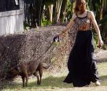 Jessica Biel à Beverly Hills le 22 septembre 2009