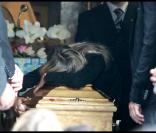 Valérie Bourdin, effondrée sur le cercueil de son compagnon (Sainte Geneviève des Bois, 24 septembre 2009)