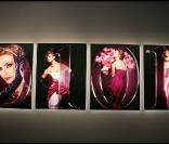 Exposition 
