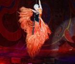Pink en concert le 5 octobre 2009 sur la scène du Madison square garden à New York !