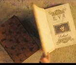 Vanessa Paradis,  Il y a  (image extraite du clip)